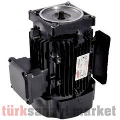 Hidrolik Powerpack Elektrik Motoru